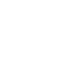 alt="BSwish toys Logo"